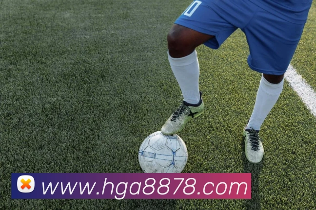 AI Risk Control
